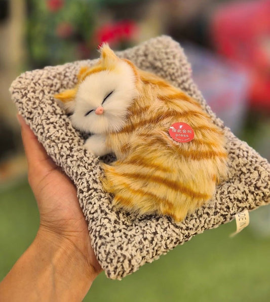 Cute Talking CAT - Ajmer Gift Charm