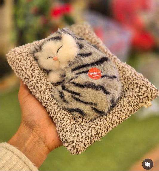 Cute Talking CAT - Ajmer Gift Charm