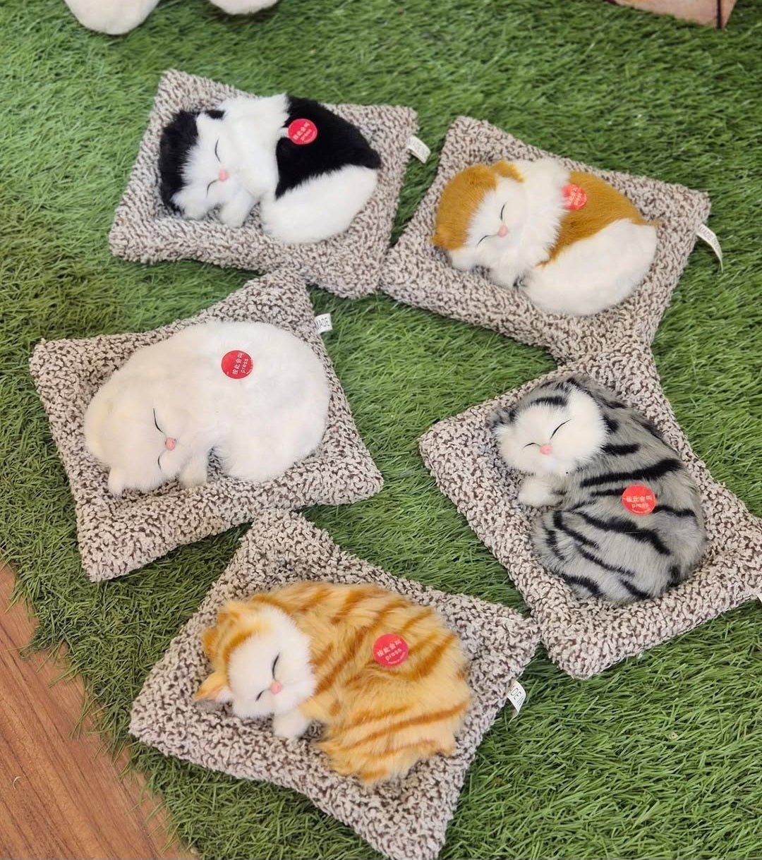 "Realistic Sleeping Cat Plush – Purring Showpiece Gift for Cat Lovers" - Ajmer Gift Charm